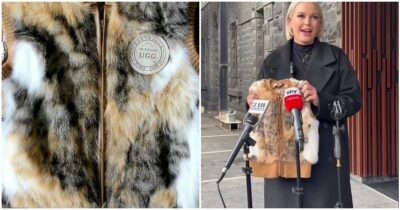 Copertina di Gilet per bambini fatti con pelliccia di gatto: la scoperta choc sugli scaffali di un centro commerciale