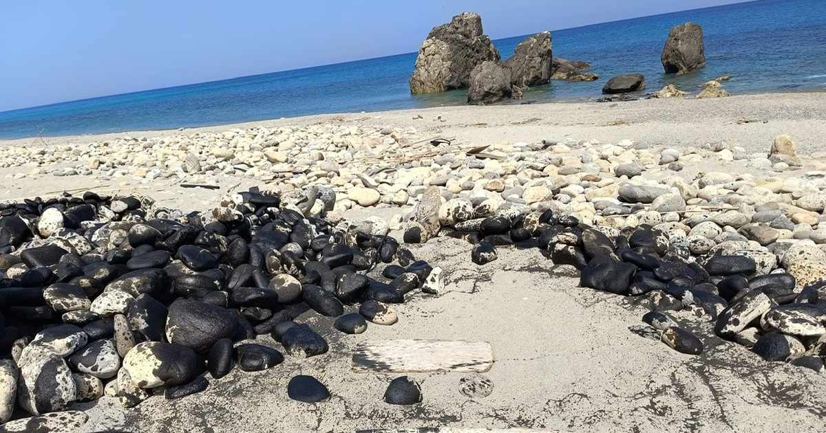 Messina, catrame sulla piaggia nudista. Pd: “È un atto omofobo”. L’Arcigay: “Denuncia in procura e prefettura” Messina, catrame sulla piaggia nudista. Pd: “È un atto omofobo”. L’Arcigay: “Denuncia in procura e prefettura”
