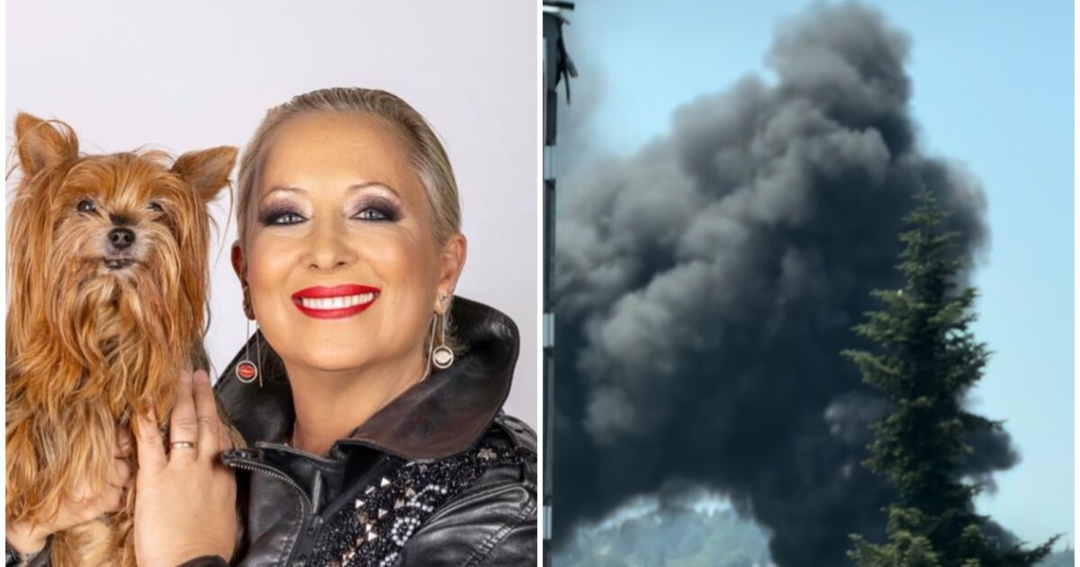 “Ha preso fuoco sull’autostrada un camion”: paura per Carolyn Smith di “Ballando con le stelle” che filma l’incidente stradale col cellulare