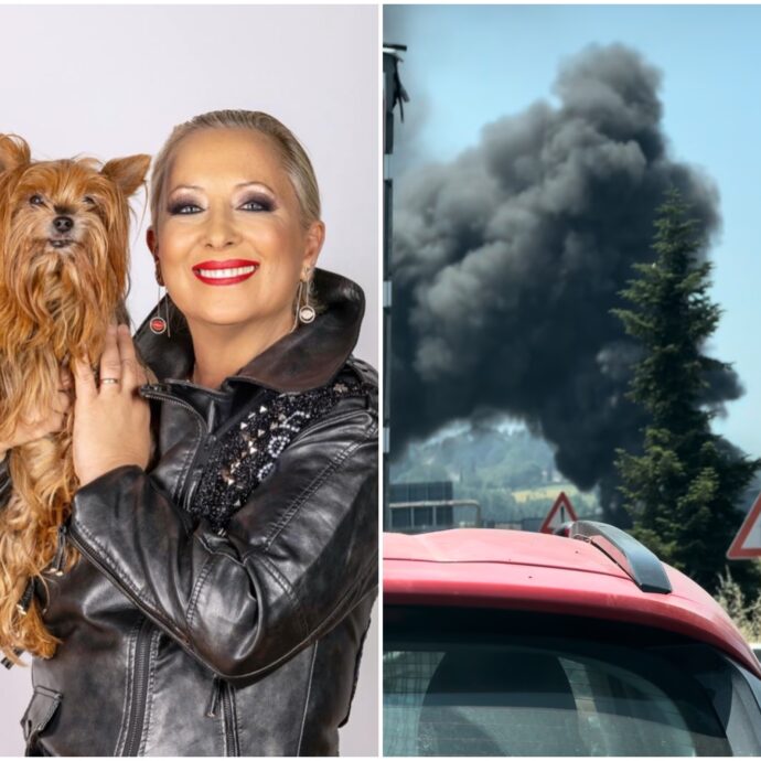 “Ha preso fuoco sull’autostrada un camion”: paura per Carolyn Smith di “Ballando con le stelle” che filma l’incidente stradale col cellulare