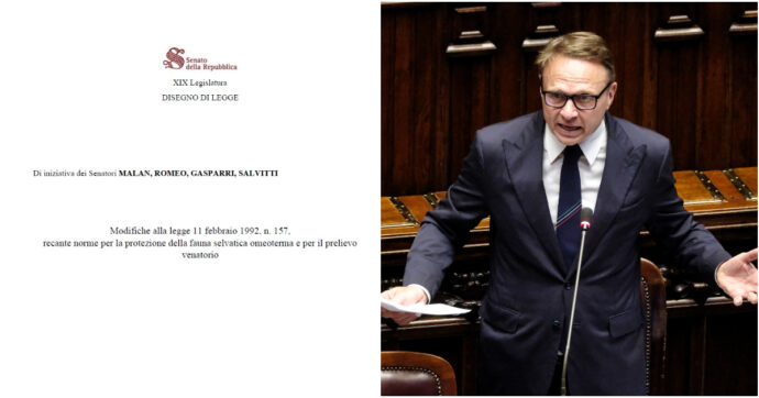 Copertina di Caccia, Lollobrigida si sbugiarda: la riforma spara-tutto è in Senato. E per lui è una sconfitta