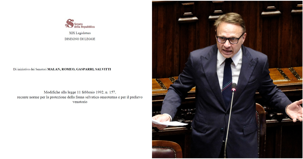caccia lollobrigida sbugiarda se stesso la riforma spara tutto arriva in senato e per il ministro 232 una sconfitta