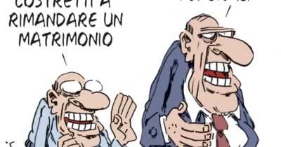 Copertina di La vignetta di Franzaroli