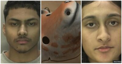 Copertina di Si travestono da giraffa e tentano di uccidere la matrigna con martello e coltelo. La vittima sopravvissuta per miracolo: “Sono terrorizzata che tornino per finirmi”.