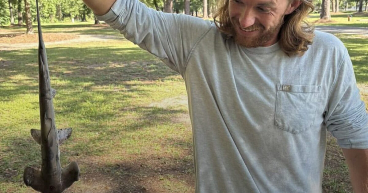 “Stavamo giocando a golf quando uno squalo martello è letteralmente piovuto dal cielo. Non potevamo crederci”: l’incredibile racconto di Jonathan Marlowe