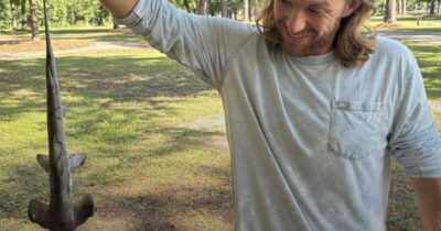 Copertina di “Stavamo giocando a golf quando uno squalo martello è letteralmente piovuto dal cielo. Non potevamo crederci”: l’incredibile racconto di Jonathan Marlowe