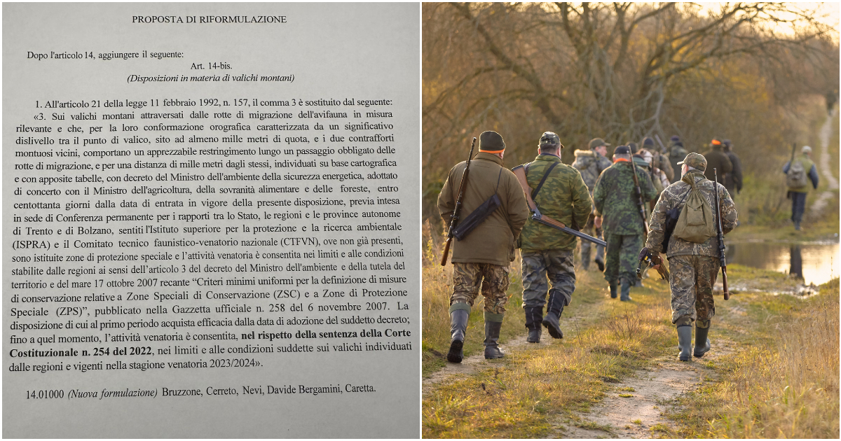Caccia sui valichi montani, ecco la norma della maggioranza per aggirare il divieto. Bonelli: “Killer di animali” Caccia sui valichi montani, ecco la norma della maggioranza per aggirare il divieto. Bonelli: “Killer di animali”
