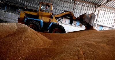 Copertina di Green Deal, la falsa “crisi del grano” usata per indebolirlo nel 2022