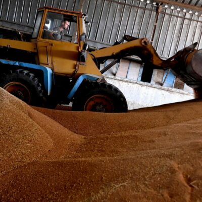 Copertina di Green Deal, la falsa “crisi del grano” usata per indebolirlo nel 2022