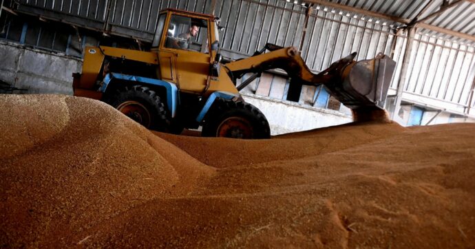 Green Deal, la falsa “crisi del grano” usata per indebolirlo nel 2022