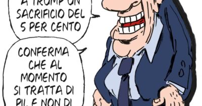 Copertina di La vignetta di Franzaroli