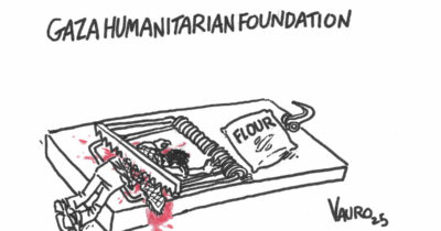 Copertina di La vignetta di Vauro