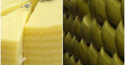 Copertina di “Aumento dei casi di campylobacter e salmonella, cerchiamo di comprenderne le cause”: cresce il numero delle intossicazioni in Inghilterra