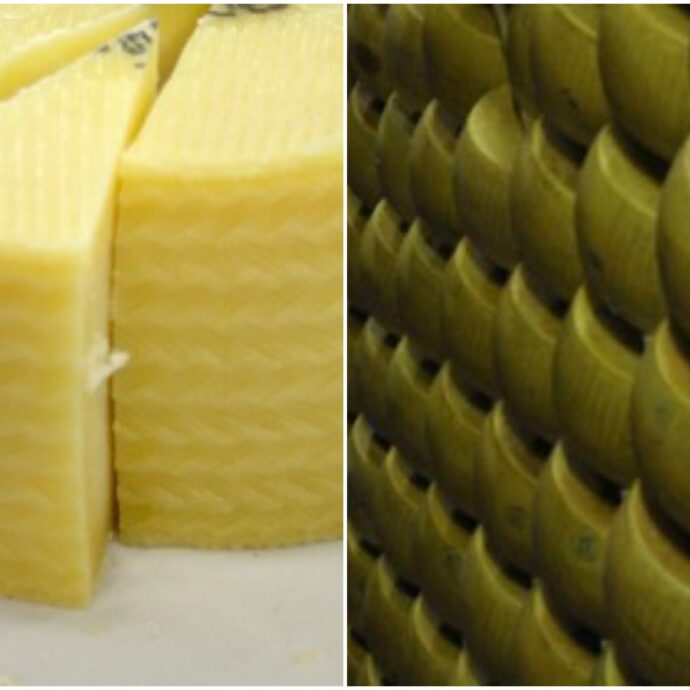 “Aumento dei casi di campylobacter e salmonella, cerchiamo di comprenderne le cause”: cresce il numero delle intossicazioni in Inghilterra