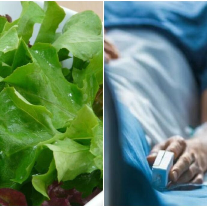 Insalata e batteri, “bisogna indagare la produzione per ridurre al minimo il rischio di infezioni negli esseri umani”: il ruolo del lavaggio e della conservazione