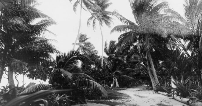 Il fascino discreto di “Isole e Idoli”