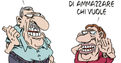 Copertina di La vignetta di Franzaroli