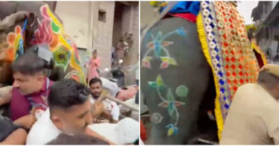 Copertina di Elefanti furiosi si ribellano agli addestratori e scappano durante una cerimonia in India – IL VIDEO