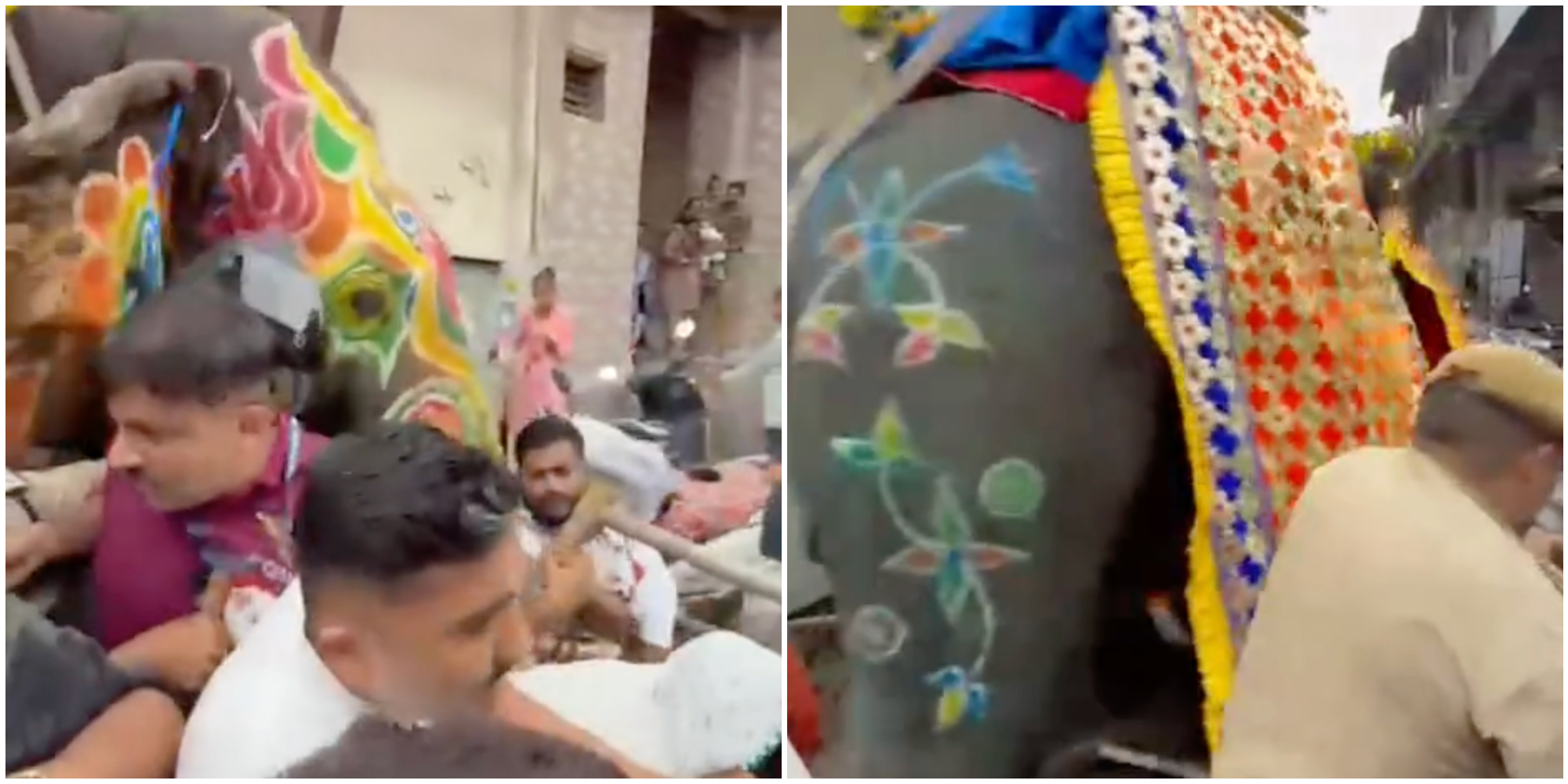 Elefanti furiosi si ribellano agli addestratori e scappano durante una cerimonia in India – IL VIDEO Elefanti furiosi si ribellano agli addestratori e scappano durante una cerimonia in India – IL VIDEO