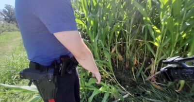 Copertina di Il cadavere di un 21enne ritrovato nei campi vicino all’A1 nel Lodigiano: ucciso con una fucilata al torace