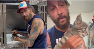 Copertina di “Adottare un animale scelta consapevole, perché voi salverete lui, ma sarà lui a salvare voi”: l’appello di Jovanotti per i gatti abbandonati – IL VIDEO