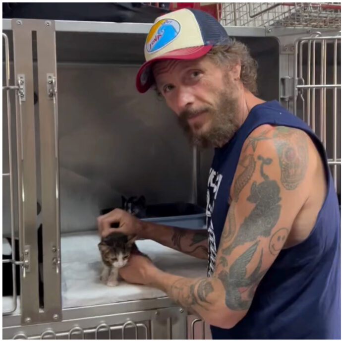 “Adottare un animale scelta consapevole, perché voi salverete lui, ma sarà lui a salvare voi”: l’appello di Jovanotti per i gatti abbandonati – IL VIDEO