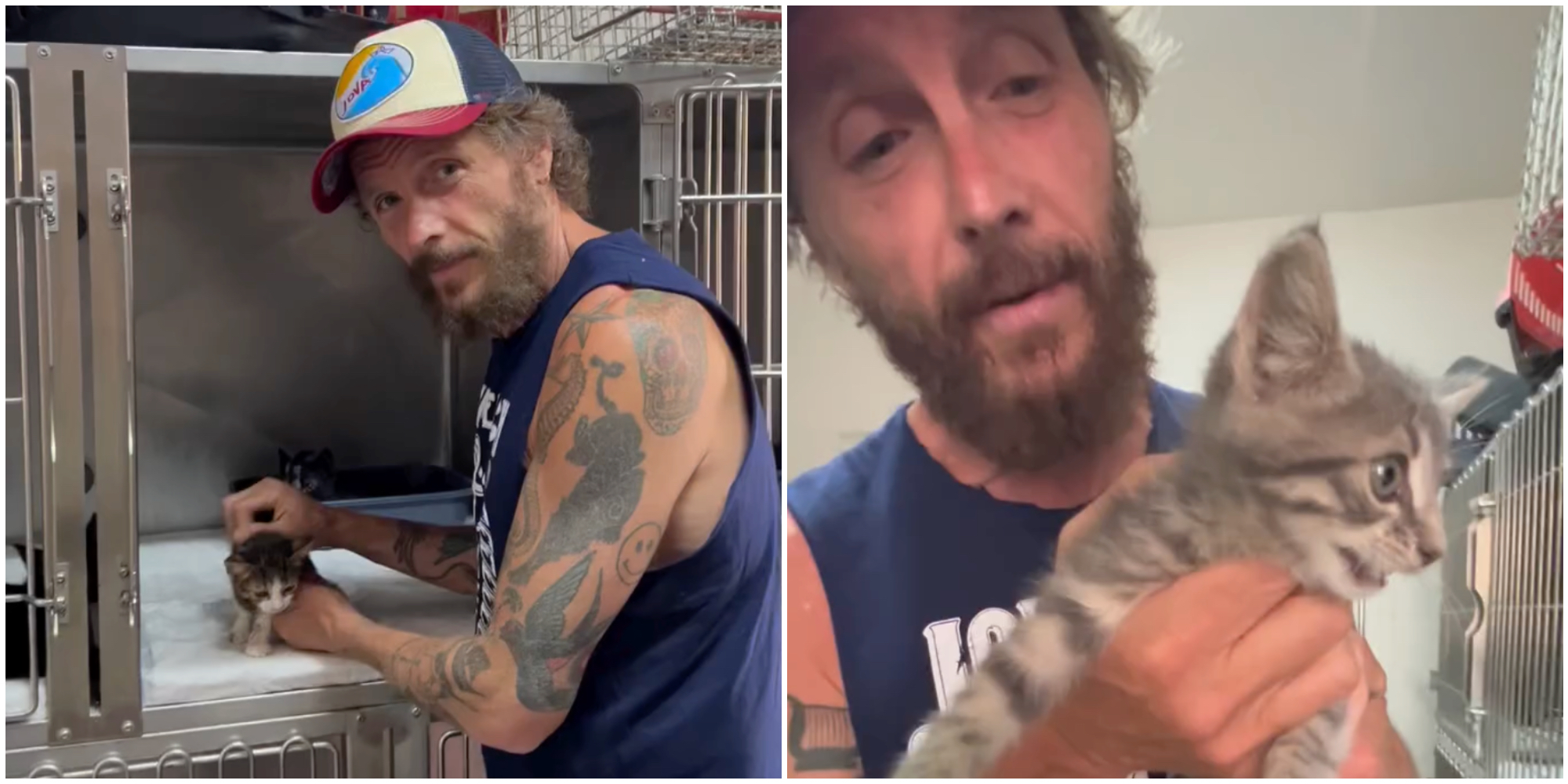 “Adottare un animale scelta consapevole, perché voi salverete lui, ma sarà lui a salvare voi”: l’appello di Jovanotti per i gatti abbandonati – IL VIDEO “Adottare un animale scelta consapevole, perché voi salverete lui, ma sarà lui a salvare voi”: l’appello di Jovanotti per i gatti abbandonati – IL VIDEO