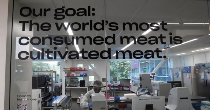 Pericoloso per la salute e per l’ambiente: Vandana Shiva spiega perché il cibo sintetico è solo greenwashing