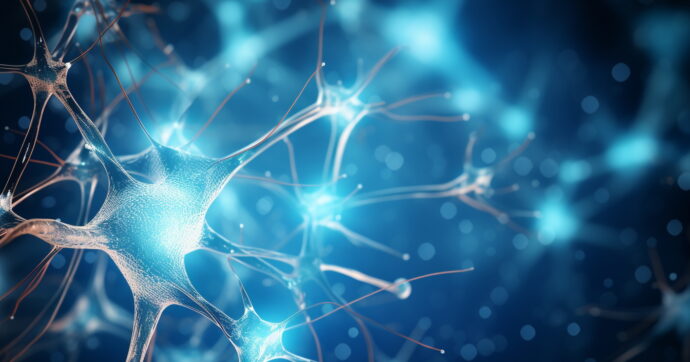 “Il tempo massimo di concentrazione è di appena otto secondi”: lo studio Usa su mille adulti. “Pesano ansia e stress”