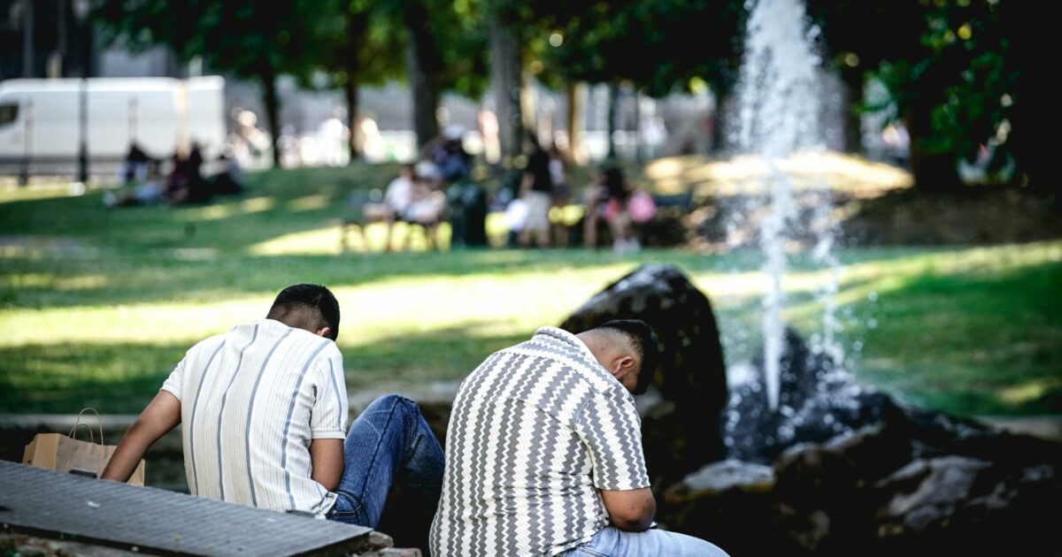 “Caldo record? Nelle città non si piantano alberi e si usano materiali che fanno l’effetto termosifone. Ignorando le leggi”. L’intervista al docente “Caldo record? Nelle città non si piantano alberi e si usano materiali che fanno l’effetto termosifone. Ignorando le leggi”. L’intervista al docente