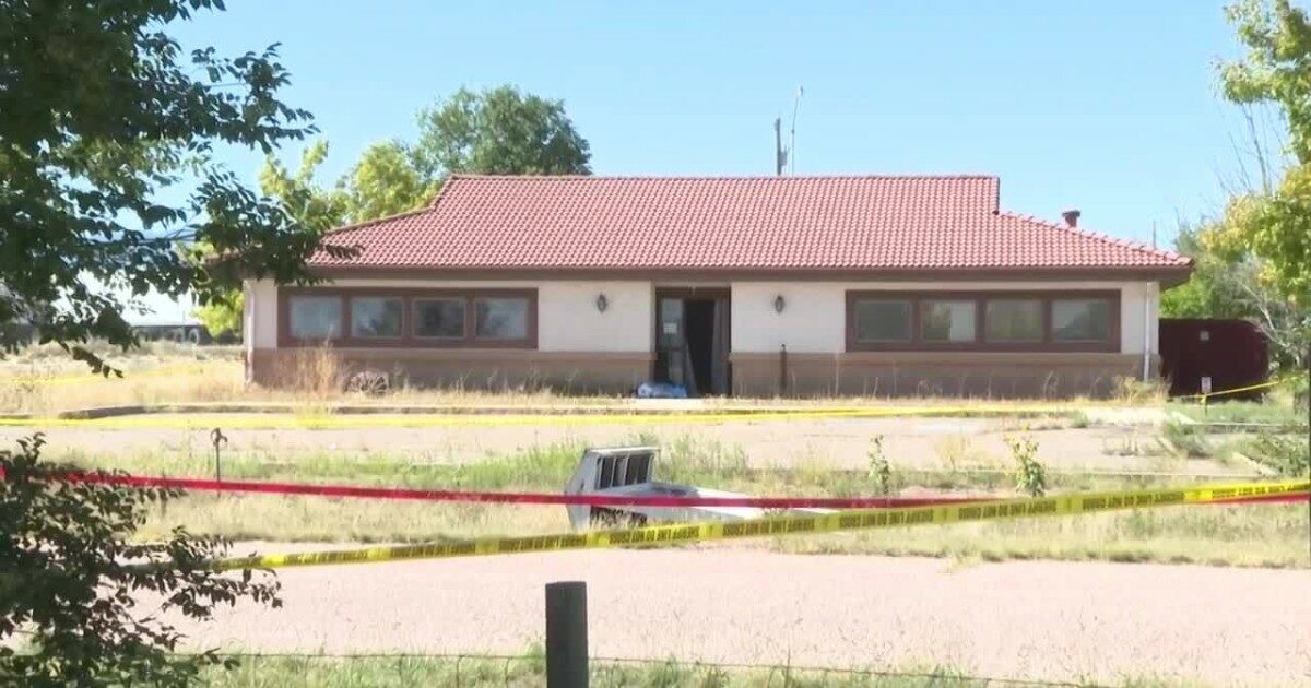 cemento al posto delle ceneri dei defunti 190 cadaveri in decomposizione e un odore putrido di animale morto mi odio per quello che ho fatto