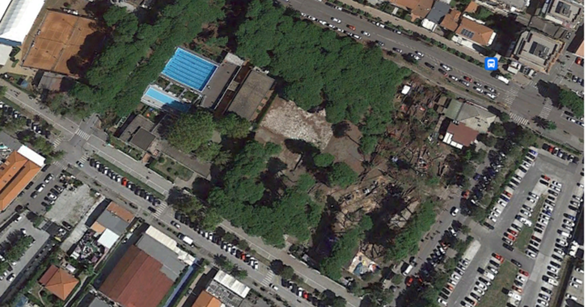 Marina di Carrara, la denuncia del comitato Arca: abbattono una pineta senza averne calcolato le conseguenze Marina di Carrara, la denuncia del comitato Arca: abbattono una pineta senza averne calcolato le conseguenze