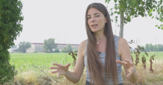 Carcasse abbandonate, feci e topi: Food for profit negli allevamenti di galline 