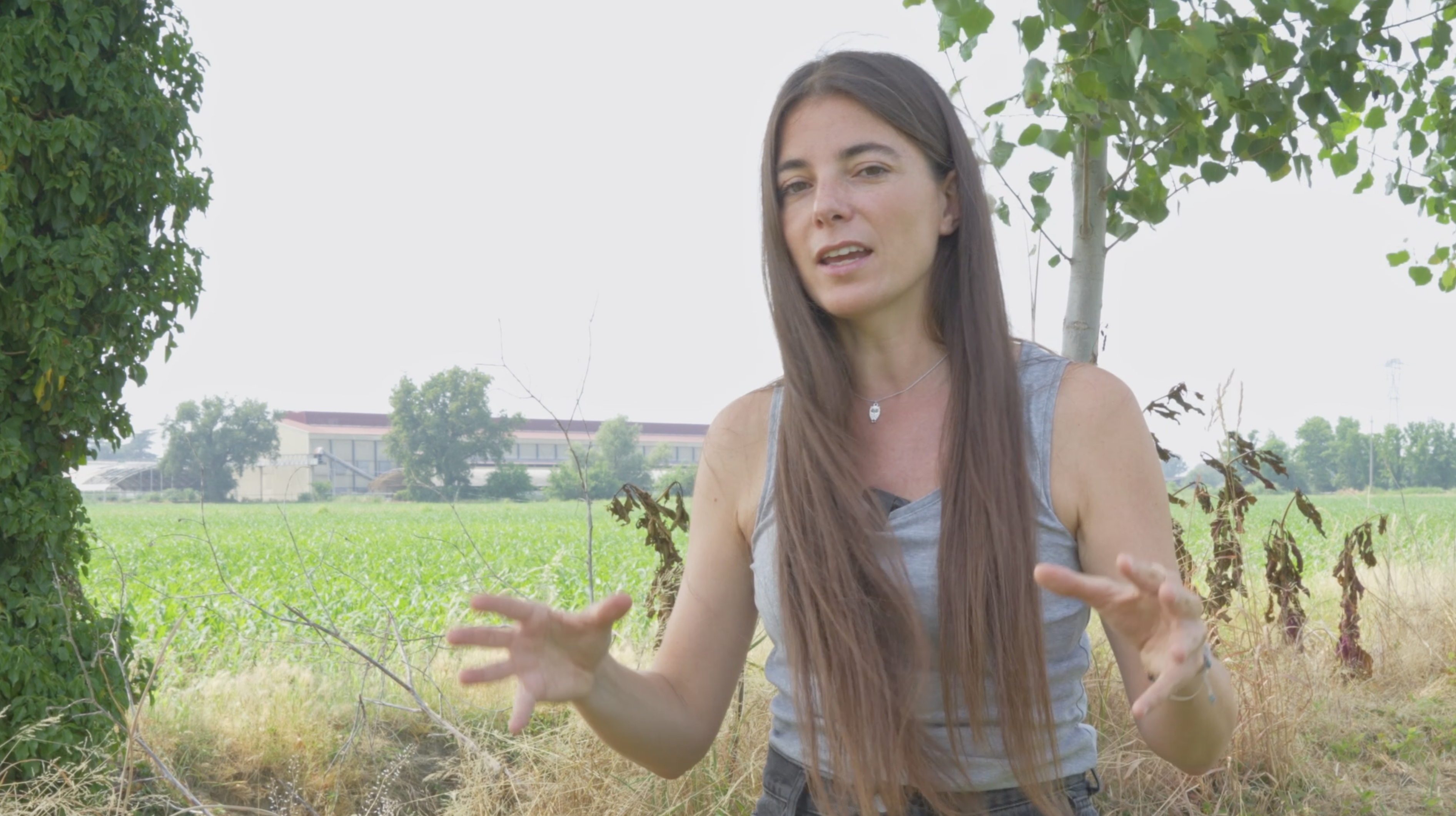 Carcasse abbandonate, feci e topi: la nuova inchiesta di Food for profit negli allevamenti di galline in Lombardia Carcasse abbandonate, feci e topi: la nuova inchiesta di Food for profit negli allevamenti di galline in Lombardia