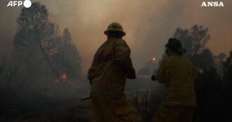 Copertina di Incendi boschivi in Messico: i vigili del fuoco combattono contro le fiamme. In fumo 12mila acri – Video