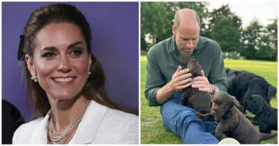 Copertina di “Hanno compiuto un atto incredibilmente scollegato dalla realtà”: la furia della Peta contro William e Kate per la cucciolata della loro cagnolina Orla