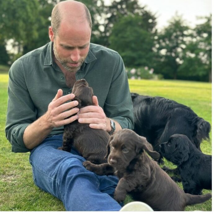 “Hanno compiuto un atto incredibilmente scollegato dalla realtà”: la furia della Peta contro William e Kate per la cucciolata della loro cagnolina Orla