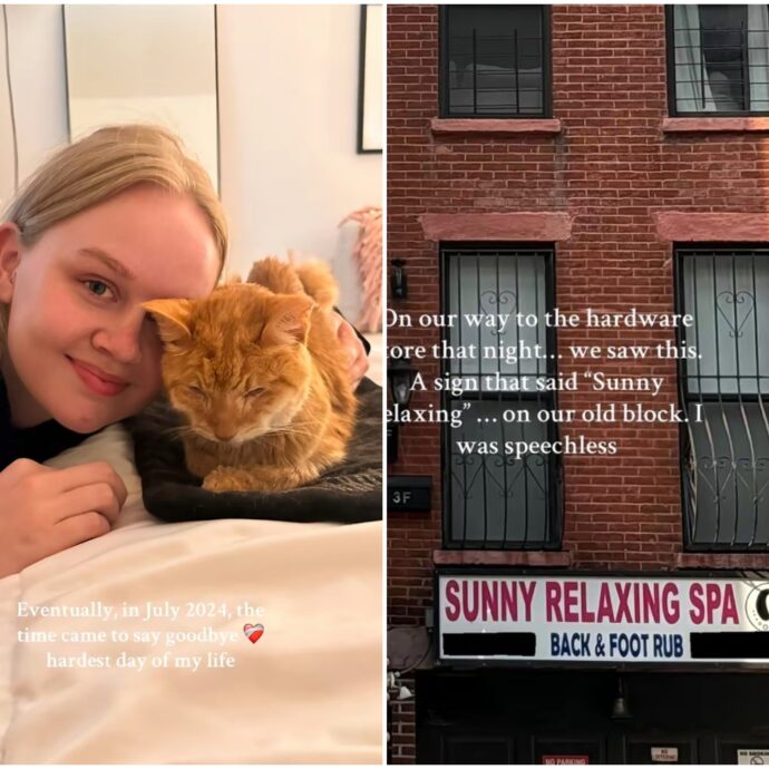 “Il mio gatto è morto, ma un anno dopo ho ricevuto un suo messaggio che mi ha aiutata a ricominciare a vivere”: l’incredibile storia di Hannah Wilson