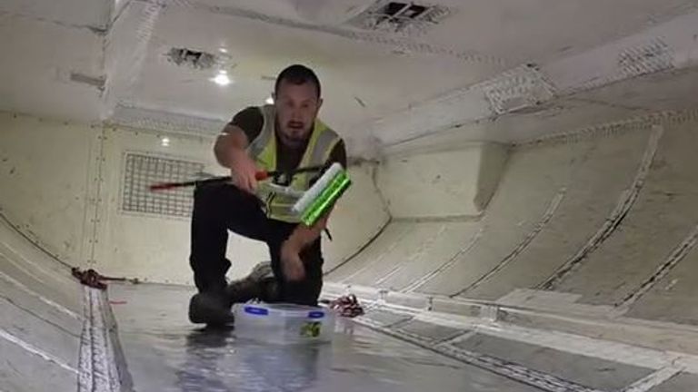 “Attenzione, c’è un serpente sull’aereo e può essere velenoso”: panico tra i passeggeri a bordo, le autorità chiamano un esperto “acchiappaserpenti”