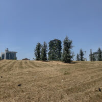 Foto scattata con Vivo X200 FE