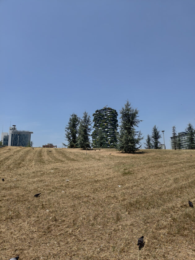 Foto scattata con Vivo X200 FE