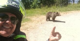 Copertina di Siamo noi a dover rispettare gli animali selvatici