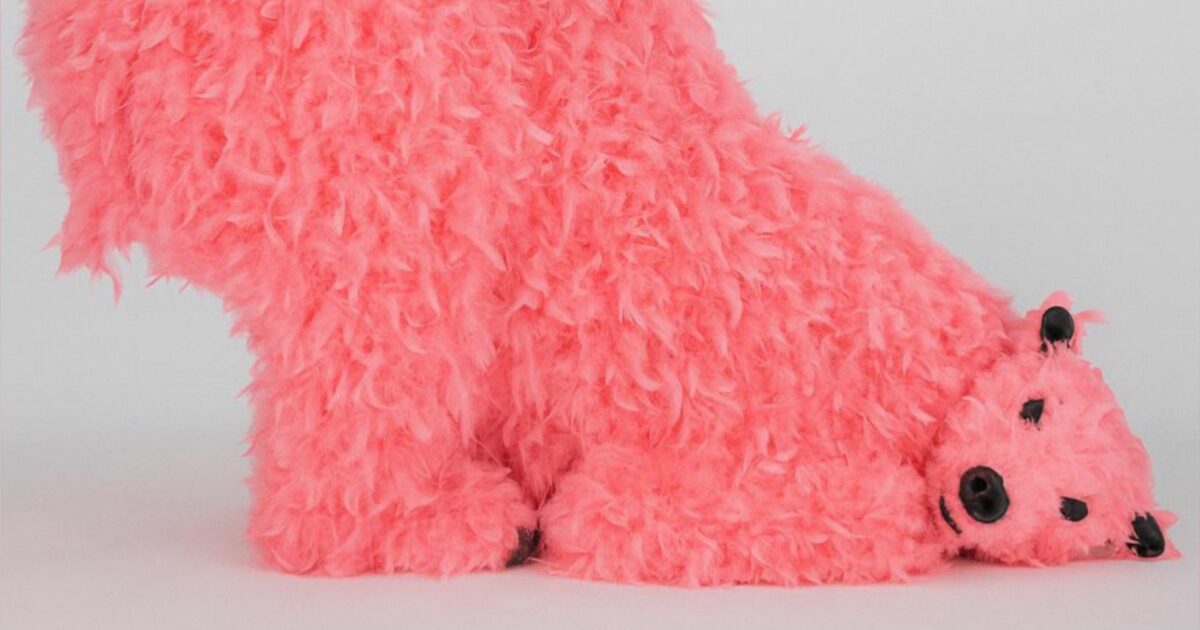 Perché gli orsi piumati di Paola Pivi sono diventati icone pop dell’arte contemporanea internazionale Perché gli orsi piumati di Paola Pivi sono diventati icone pop dell’arte contemporanea internazionale