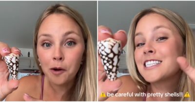 Copertina di “Ho avuto paura per giorni, pensavo mi avesse punto e mi sono sentita vulnerabile”: la TikToker raccoglie una conchiglia che poteva essere letale