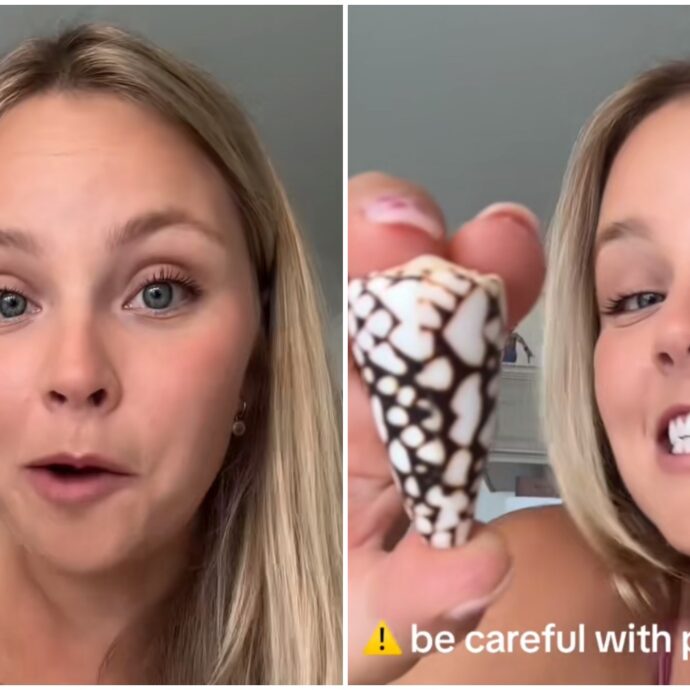 “Ho avuto paura per giorni, pensavo mi avesse punto e mi sono sentita vulnerabile”: la TikToker raccoglie una conchiglia che poteva essere letale