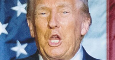 Copertina di I  Medici e noi. Bolle papali e altri Armageddon di oggi: istruzioni per sconvolgere il mondo