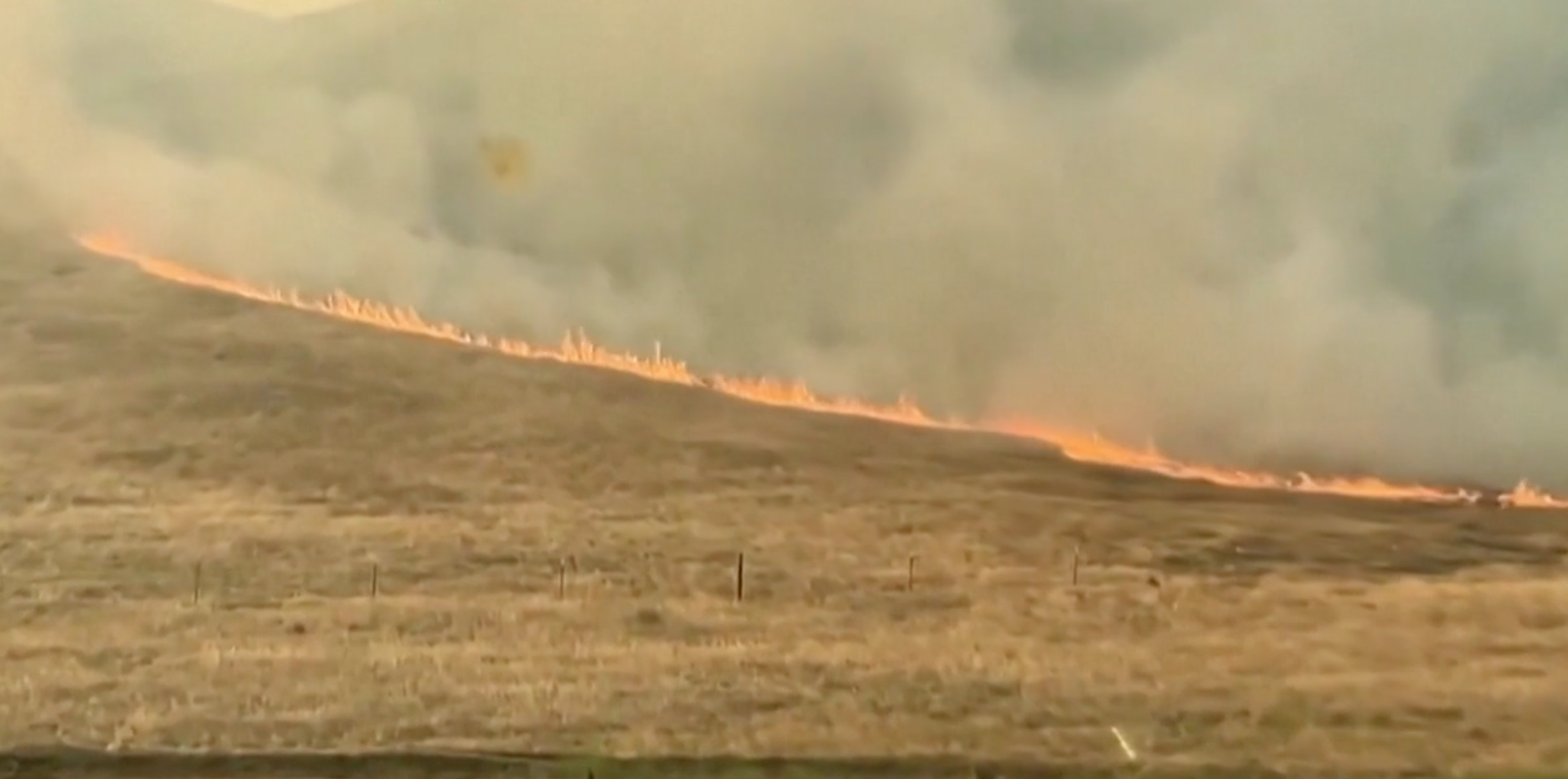 California, a fuoco quasi 30mila ettari: è l’incendio più vasto del 2025 California, a fuoco quasi 30mila ettari: è l’incendio più vasto del 2025