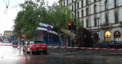 Copertina di Nubifragio a Milano, grosso albero si abbatte su un chiosco in piazza Baiamonti. Il video