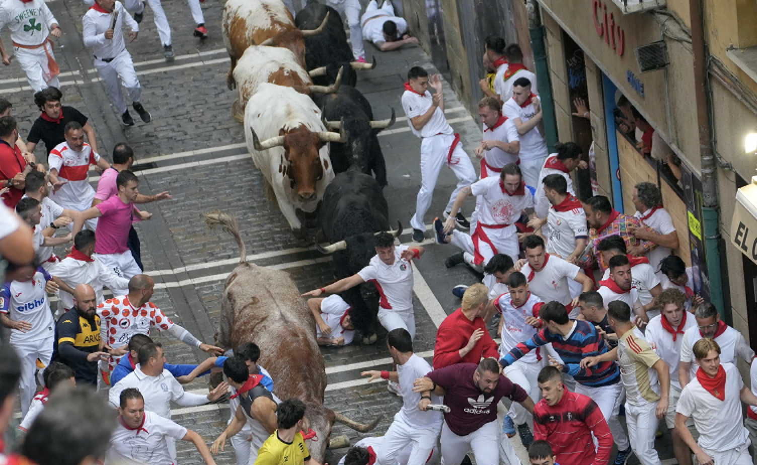 Via alla prima corsa con i tori a San Fermin a Pamplona: sei persone hanno riportato contusioni – IL VIDEO Via alla prima corsa con i tori a San Fermin a Pamplona: sei persone hanno riportato contusioni – IL VIDEO