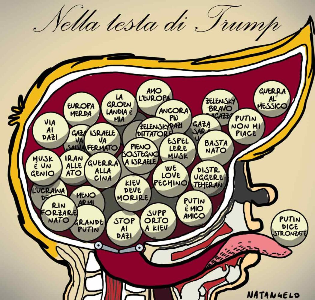 La vignetta di Natangelo